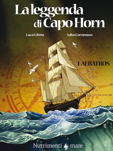 CapoHorn_Albatros